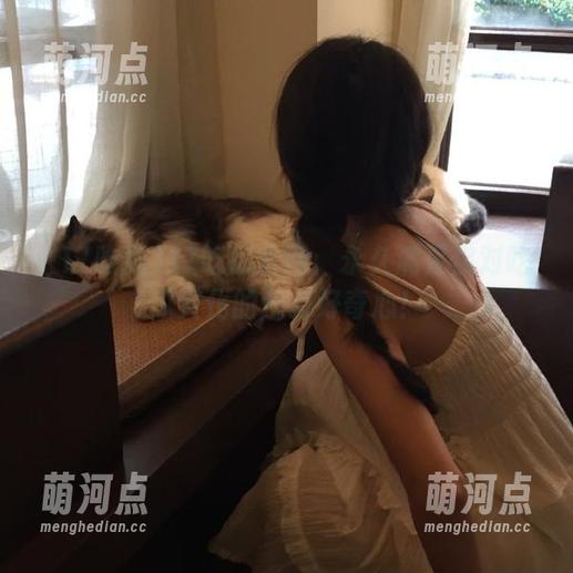 17吃瓜 17吃瓜官网:永久满足你对吃瓜文化的所有好奇心!