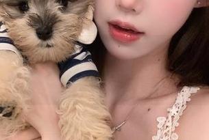 今日吃瓜51，逃脱大英博物馆的秘籍，都在网址里！