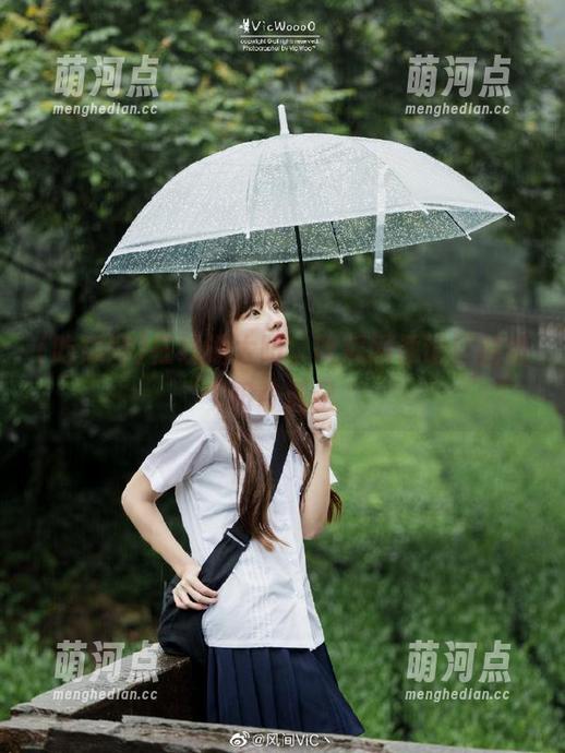 在线晒太阳，吃瓜网评论区的朝阳奇遇记