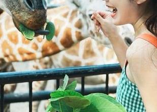 通过吃瓜网站导航，轻松追踪热门事件，八卦欢乐多，生活缺不了！