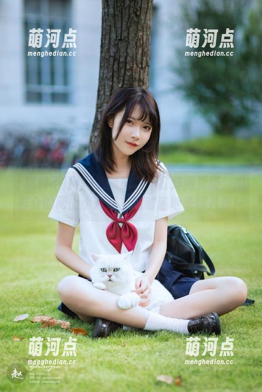 最新黑料不打烊网页版：瓜群众的网上小茶馆，随时随地来聊八卦！